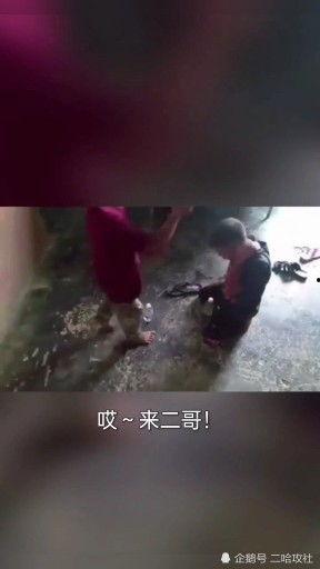 国产好看的搞笑视频,国产搞笑视频精选集锦